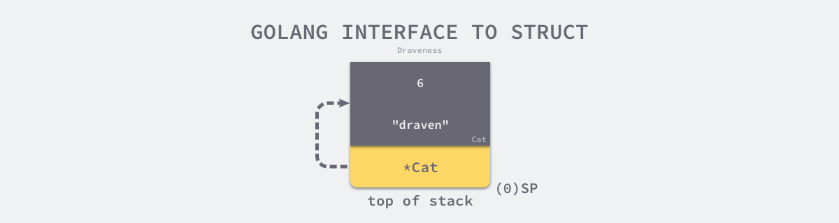 golang-interface-to-struct