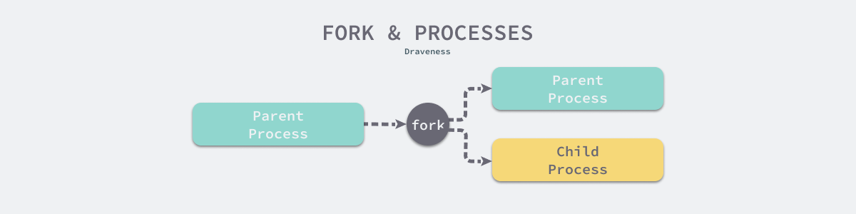 fork-and-processes