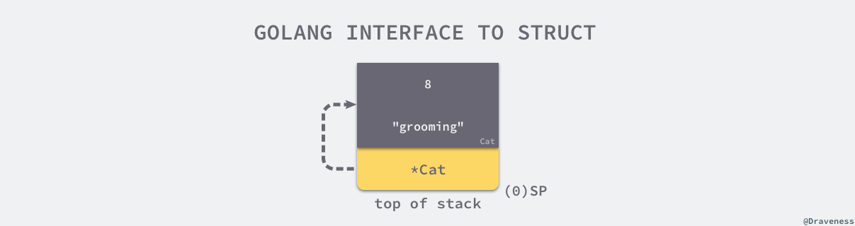 golang-interface-to-struct